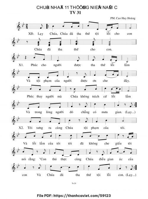 Chúa Nhật 11 Thường Niên năm C - Cao Huy Hoàng - trang 1