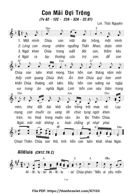 Chúa Nhật 12 Thường Niên năm C - Lm. Thái Nguyên - trang 1