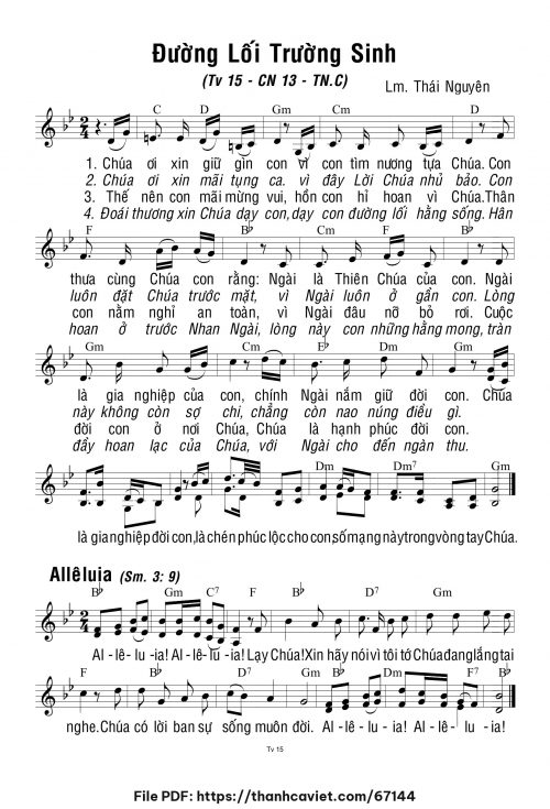 Chúa Nhật 13 Thường Niên năm C - Lm. Thái Nguyên - trang 1