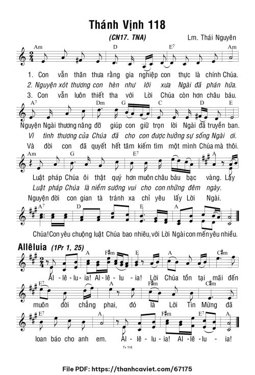 Chúa Nhật 17 Thường Niên năm A - Lm. Thái Nguyên - trang 1