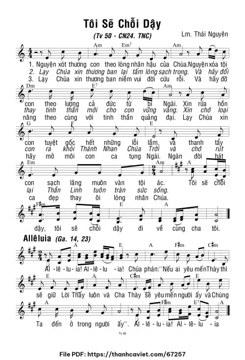 Chúa Nhật 24 Thường Niên năm C - Lm. Thái Nguyên - trang 1