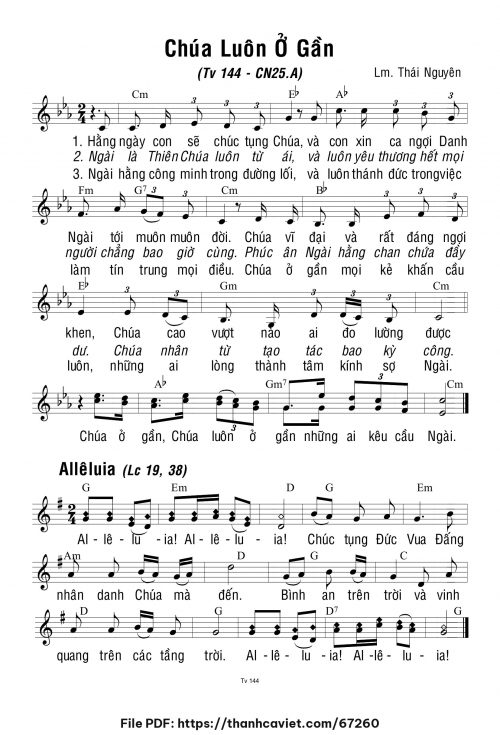 Chúa Nhật 25 Thường Niên năm A - Lm. Thái Nguyên - trang 1