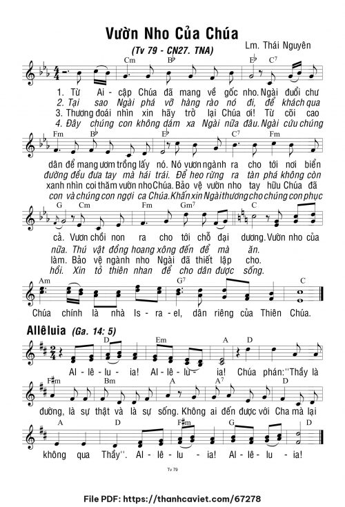 Chúa Nhật 27 Thường Niên năm A - Lm. Thái Nguyên - trang 1