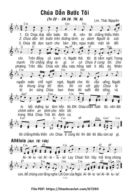 Chúa Nhật 28 Thường Niên năm A - Lm. Thái Nguyên - trang 1