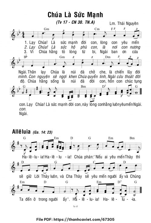 Chúa Nhật 30 Thường Niên năm A - Lm. Thái Nguyên - trang 1