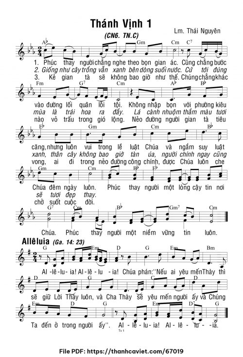 Chúa Nhật 6 Thường Niên năm C - Lm. Thái Nguyên - trang 1
