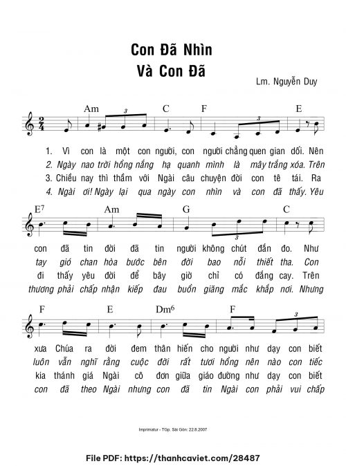 Con đã nhìn và con đã thấy - Lm. Nguyễn Duy - trang 1