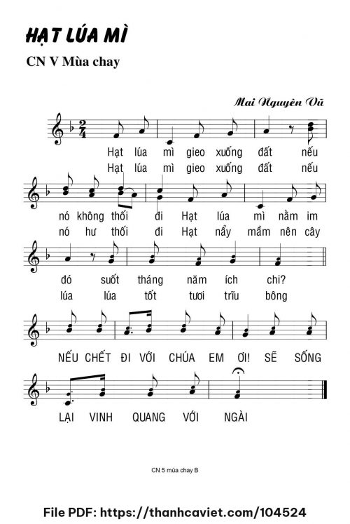 Hạt lúa mì - Mai Nguyên Vũ - trang 1