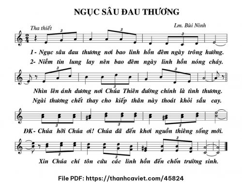 Ngục sâu đau thương - Lm. Bùi Ninh - trang 1