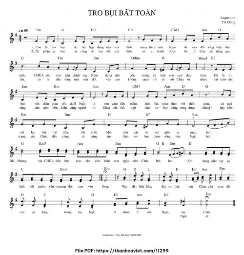 Tro bụi bất toàn - Augustino Trí Dũng - trang 1